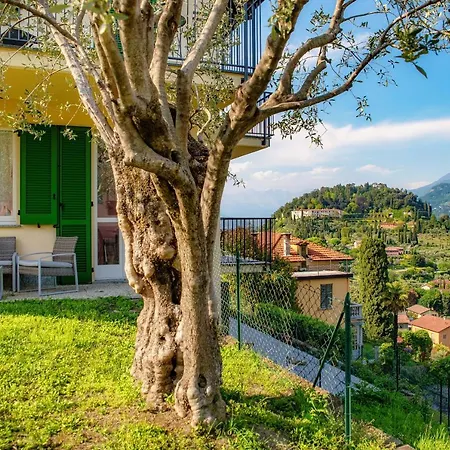 Holiday home Olive Tree View *