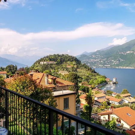 Olive Tree View *