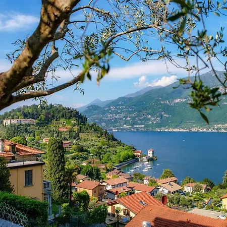 Ferienhaus Olive Tree View *